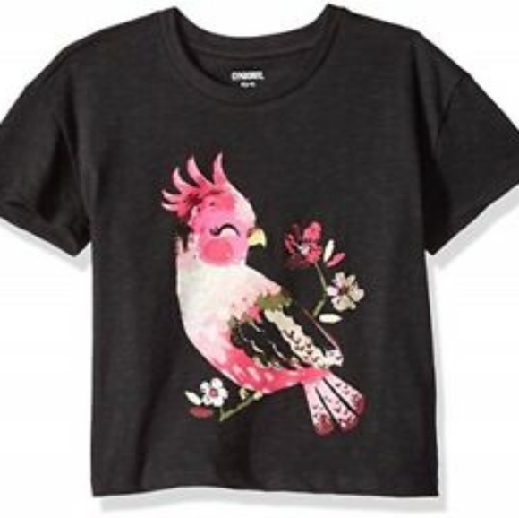 Gymboree Other - Gymboree 4T girls bird t-shirt NWOT